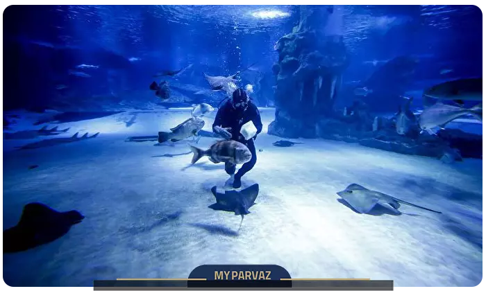 Diving at Antalya Aquarium